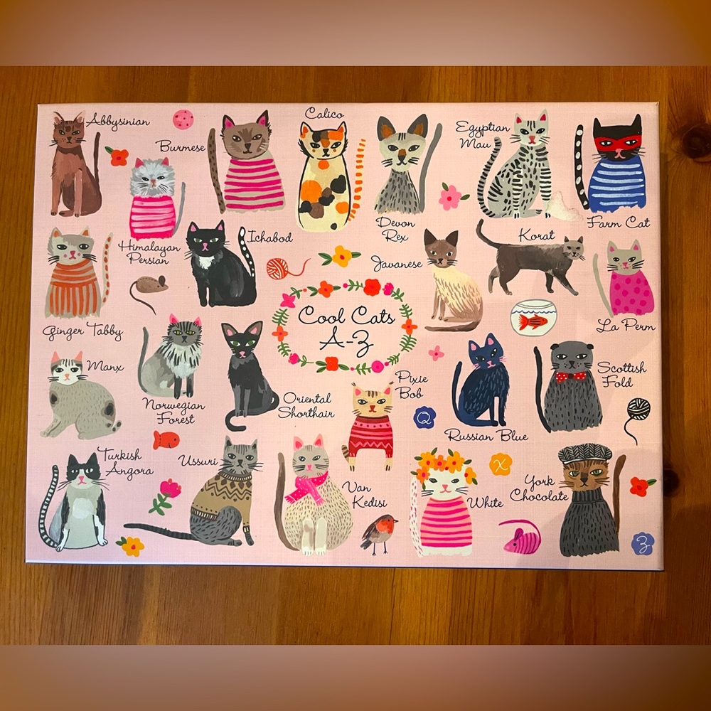 mudpuppy 1000 piece Cool Cats A-Z puzzle